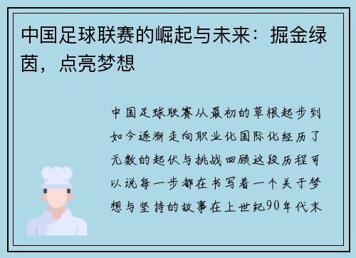 中国足球联赛的崛起与未来：掘金绿茵，点亮梦想