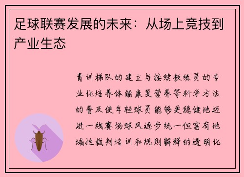 足球联赛发展的未来：从场上竞技到产业生态
