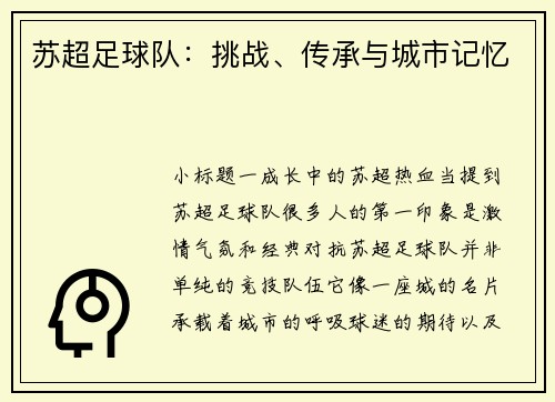 苏超足球队：挑战、传承与城市记忆